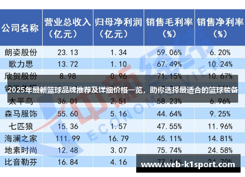 2025年最新篮球品牌推荐及详细价格一览，助你选择最适合的篮球装备