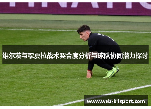 维尔茨与穆夏拉战术契合度分析与球队协同潜力探讨