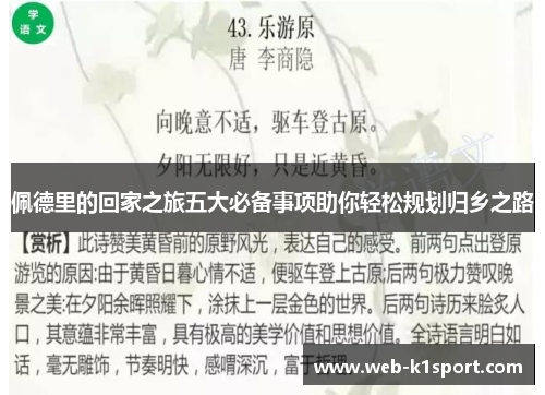 佩德里的回家之旅五大必备事项助你轻松规划归乡之路