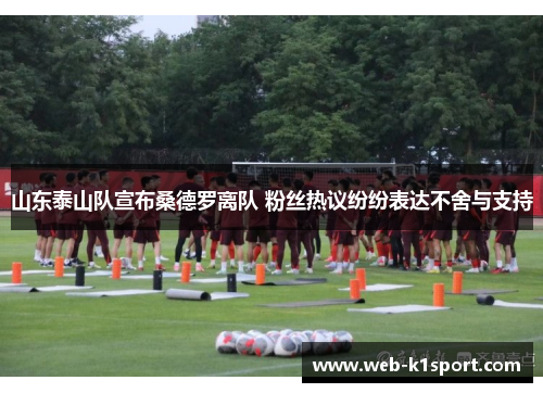 山东泰山队宣布桑德罗离队 粉丝热议纷纷表达不舍与支持