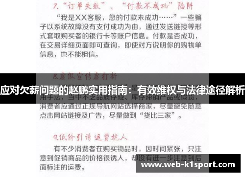 应对欠薪问题的赵鹏实用指南：有效维权与法律途径解析