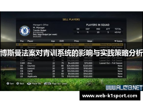 博斯曼法案对青训系统的影响与实践策略分析